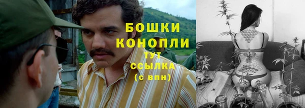 бошки Богородицк