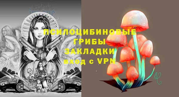 бошки Богородицк