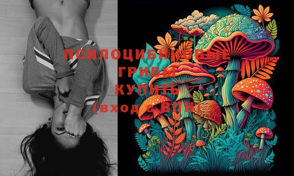 бошки Богородицк
