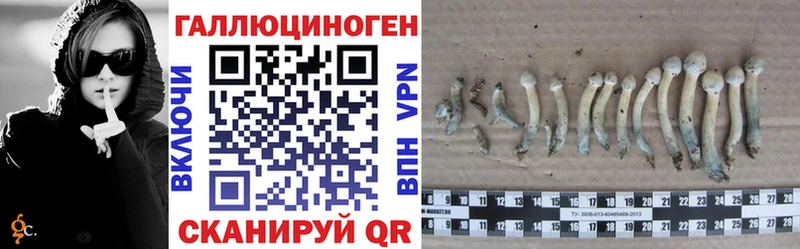 Купить закладки  Данков  Псилоцибиновые грибы мухоморы 